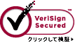 verisign secured