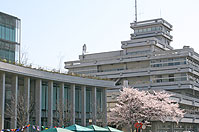 庁舎など