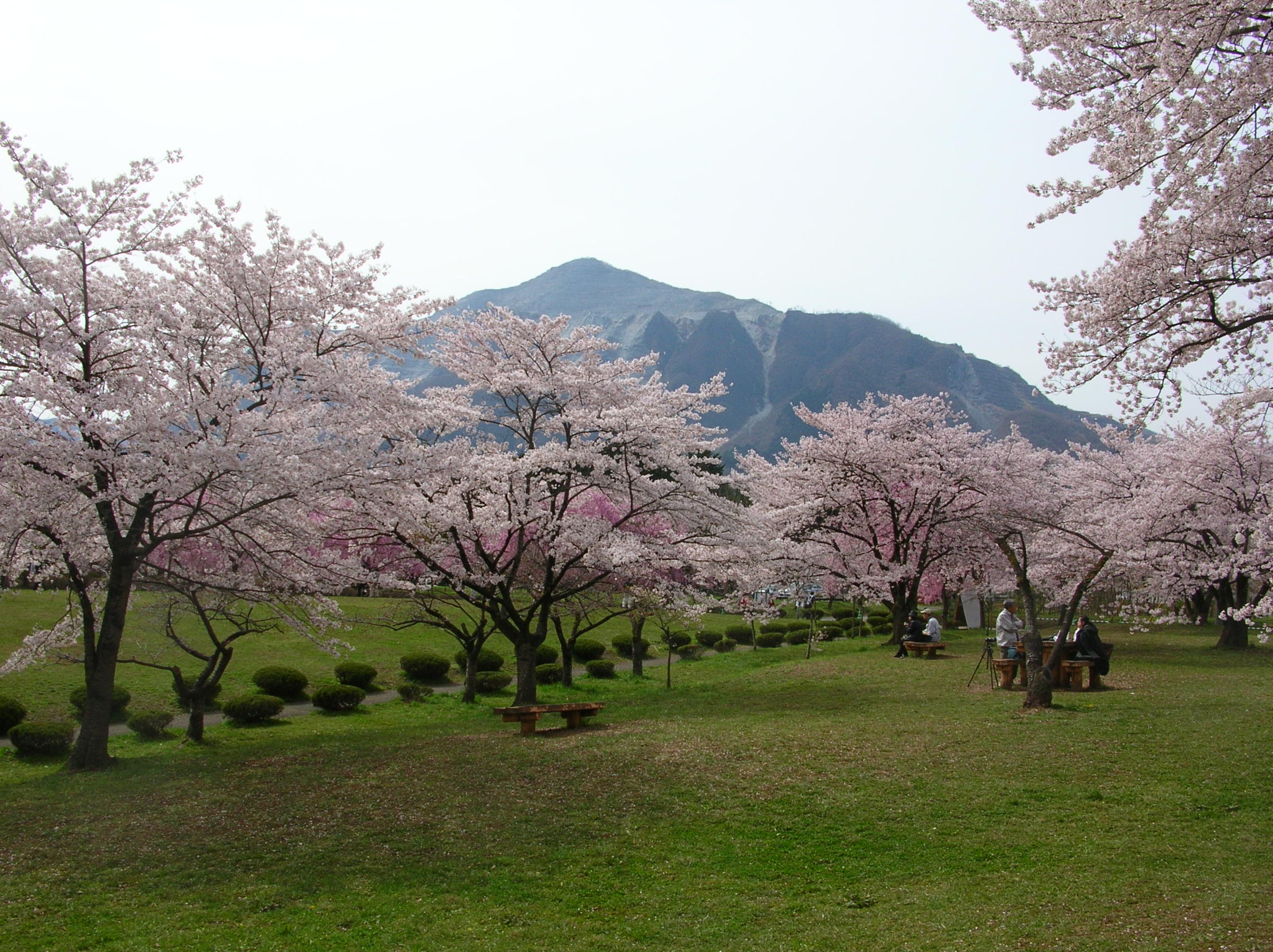 芝生広場の外観