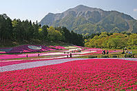 観光あれこれリンク集の画像