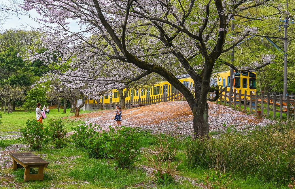 西武鉄道社長賞