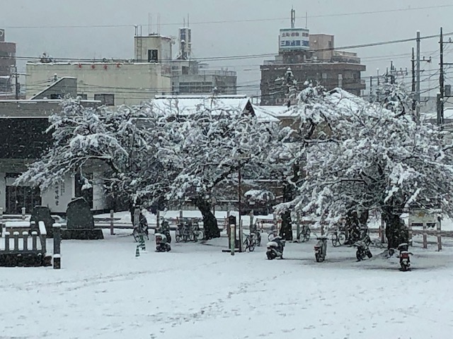 1月28日降雪