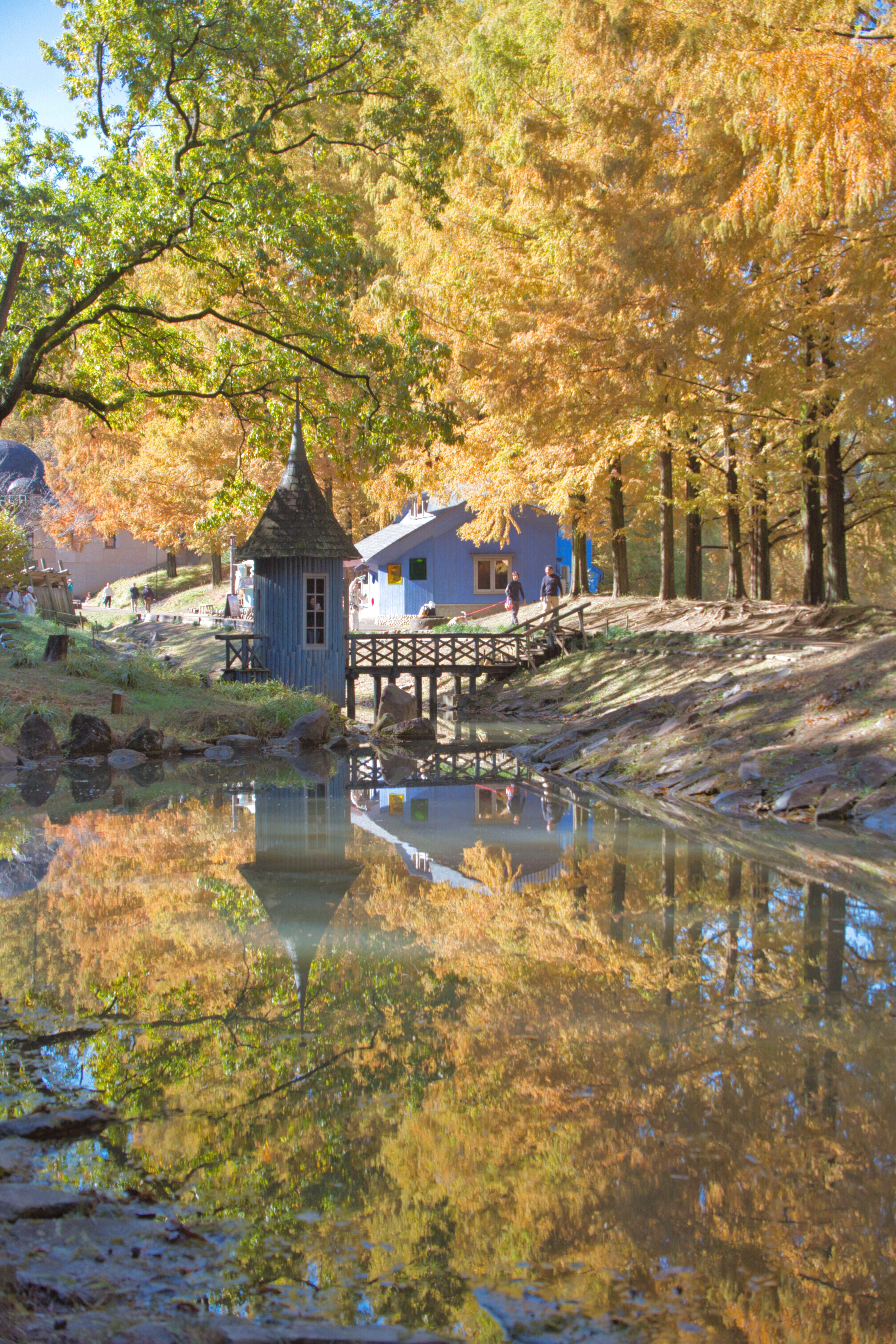 西武線沿線サミットフォトコンテスト　ホテルヘリテイジ特別賞　あけぼの子供の森公園の写真です