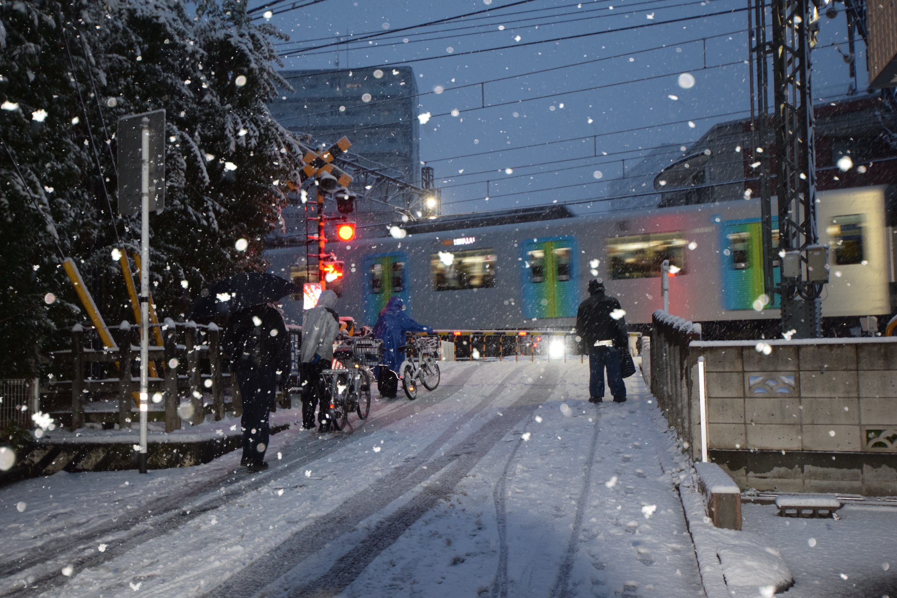 西武線沿線サミットフォトコンテスト　審査員特別賞　雪の降る踏切の写真です