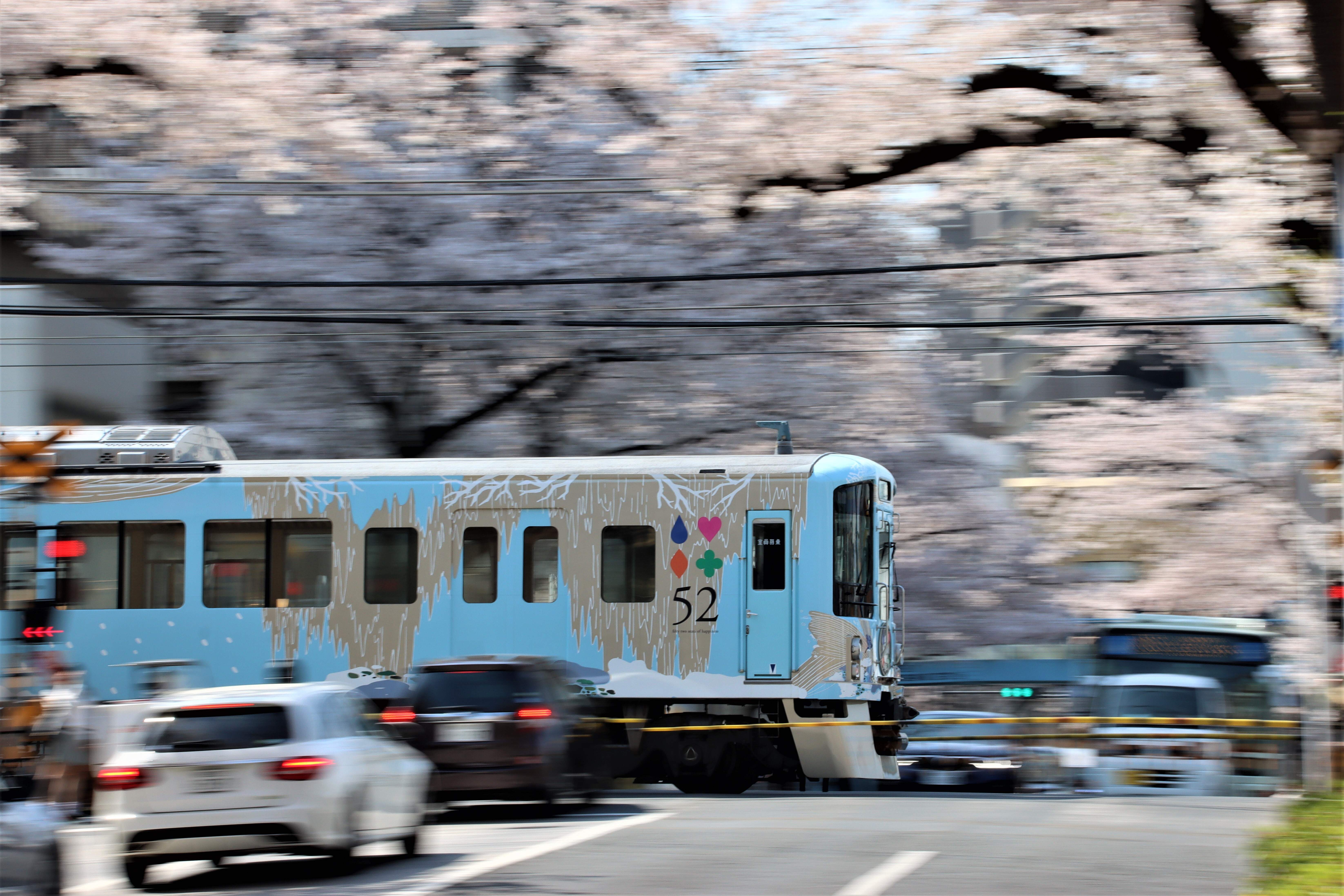 西武線沿線サミットフォトコンテスト　西武鉄道社長賞　52席の至福が踏切を走っていく写真です