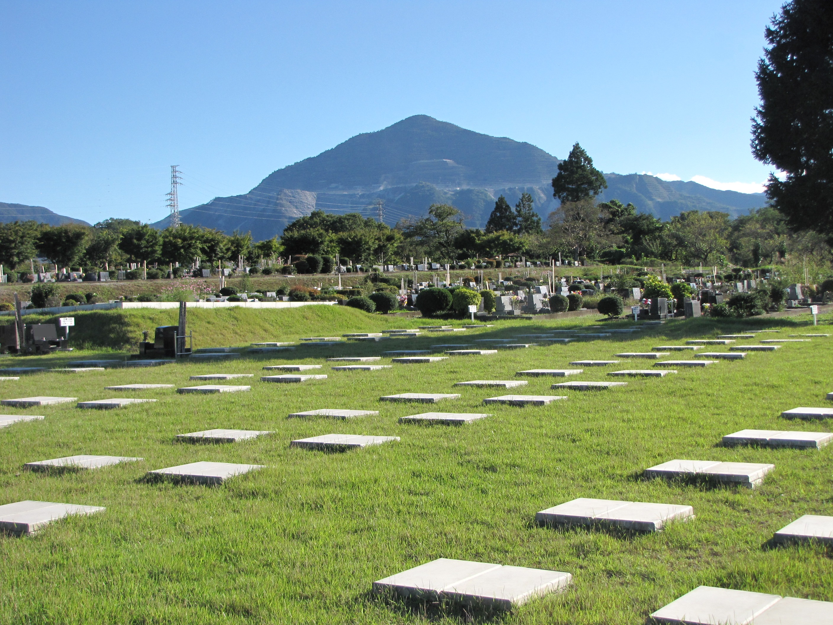芝19区