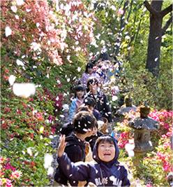 塚越の花まつり