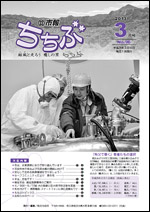 市報ちちぶ（平成25年3月号）表紙